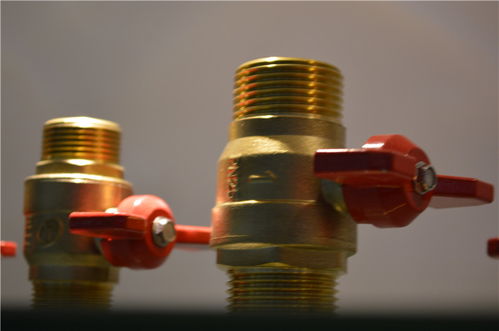 達(dá)柏林閥門 批發(fā)零售 廠家直銷